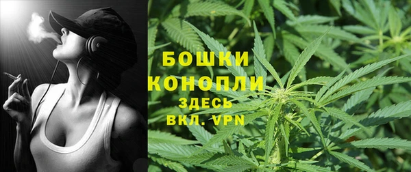 ПСИЛОЦИБИНОВЫЕ ГРИБЫ Белоозёрский