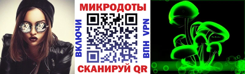 наркота  Пионерский  сайты даркнета состав  Псилоцибиновые грибы прущие грибы 